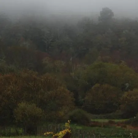 Xanela Xures Muinos (Ourense)