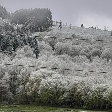 Xanela Xures Hotel *