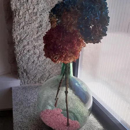 Xanela Xures Hotel Muinos (Ourense)