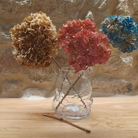 호텔 Xanela Xures
