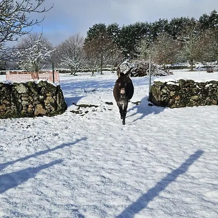 Xanela Xures Hotel Muinos (Ourense)